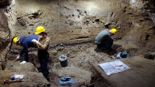 Homo sapiens: Ankunft in einem eiskalten Europa