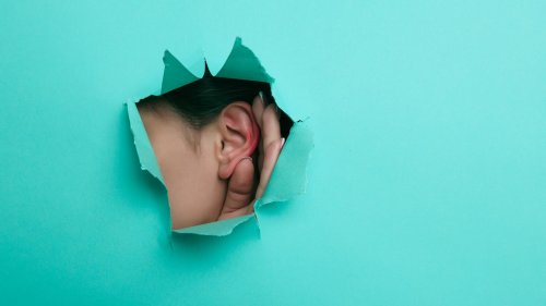 Die unterschätzten Sinne des Menschen