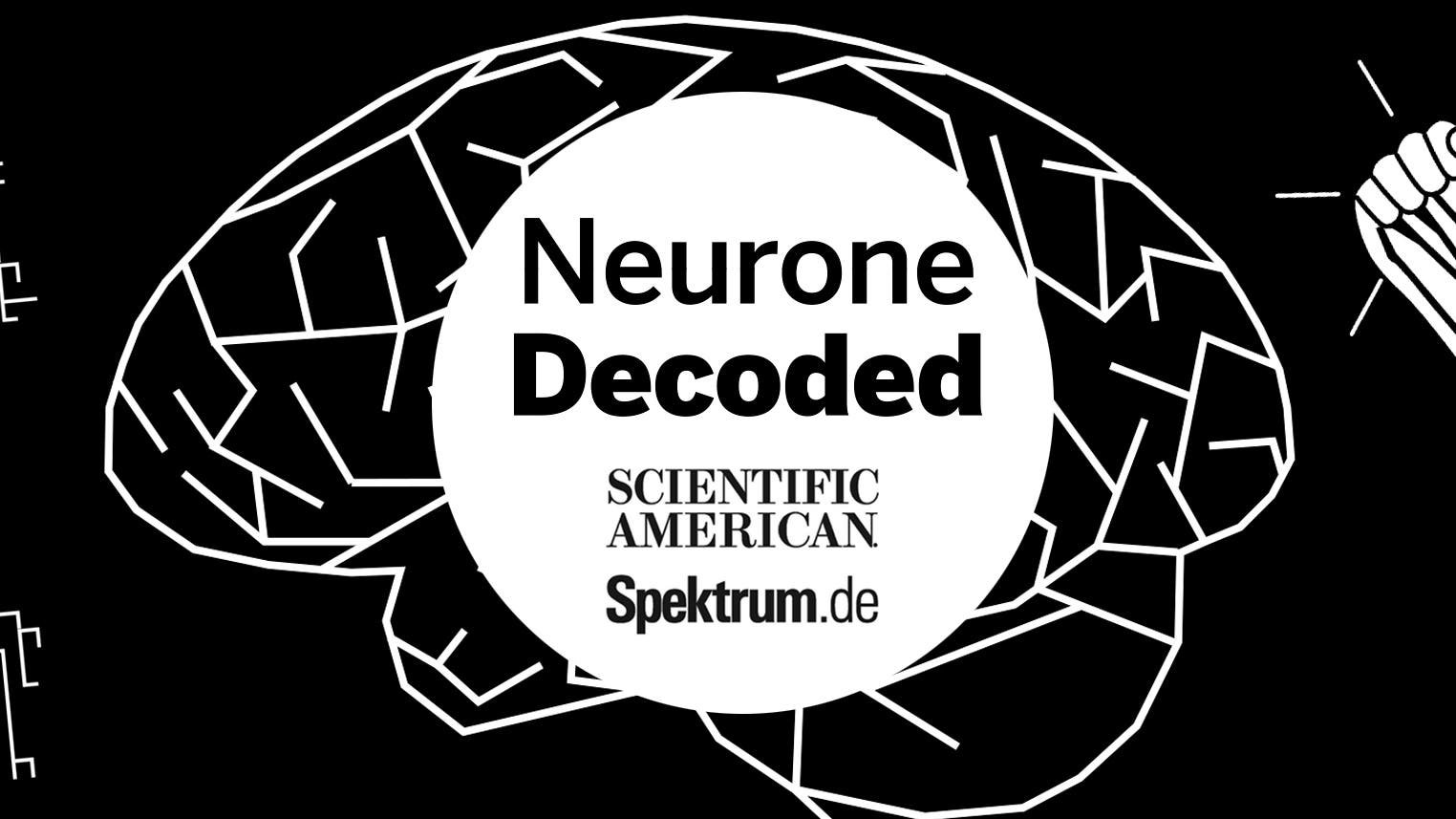Decoded: Neurone, die Autobahnen des Nervensystems