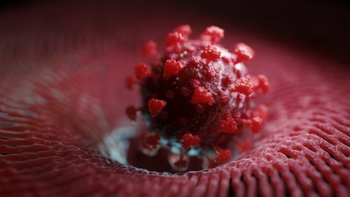 Coronavirus: Wie Covid-19 das Infarktrisiko erhöht
