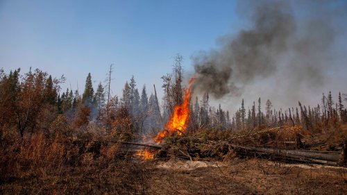 Klimawandel in Kanada: Zahlreiche Zombiefeuer schwelen vor sich hin