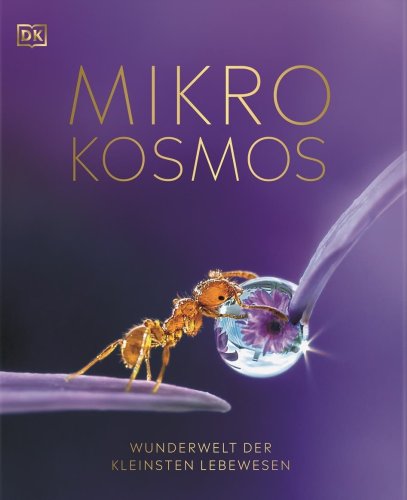 »Mikrokosmos«: Bizarre Schönheit