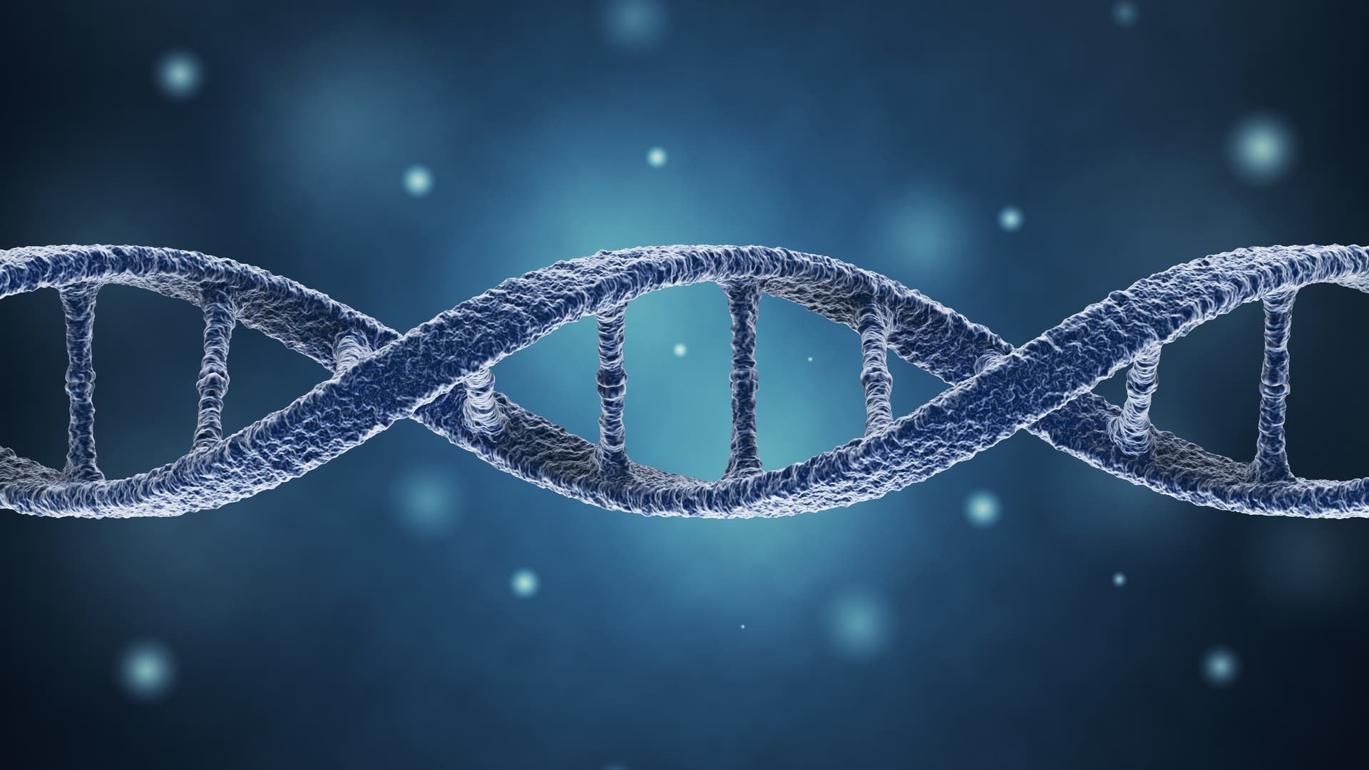 Epigenom-Forschung: Ein neuer Dreh in der Epigenetik