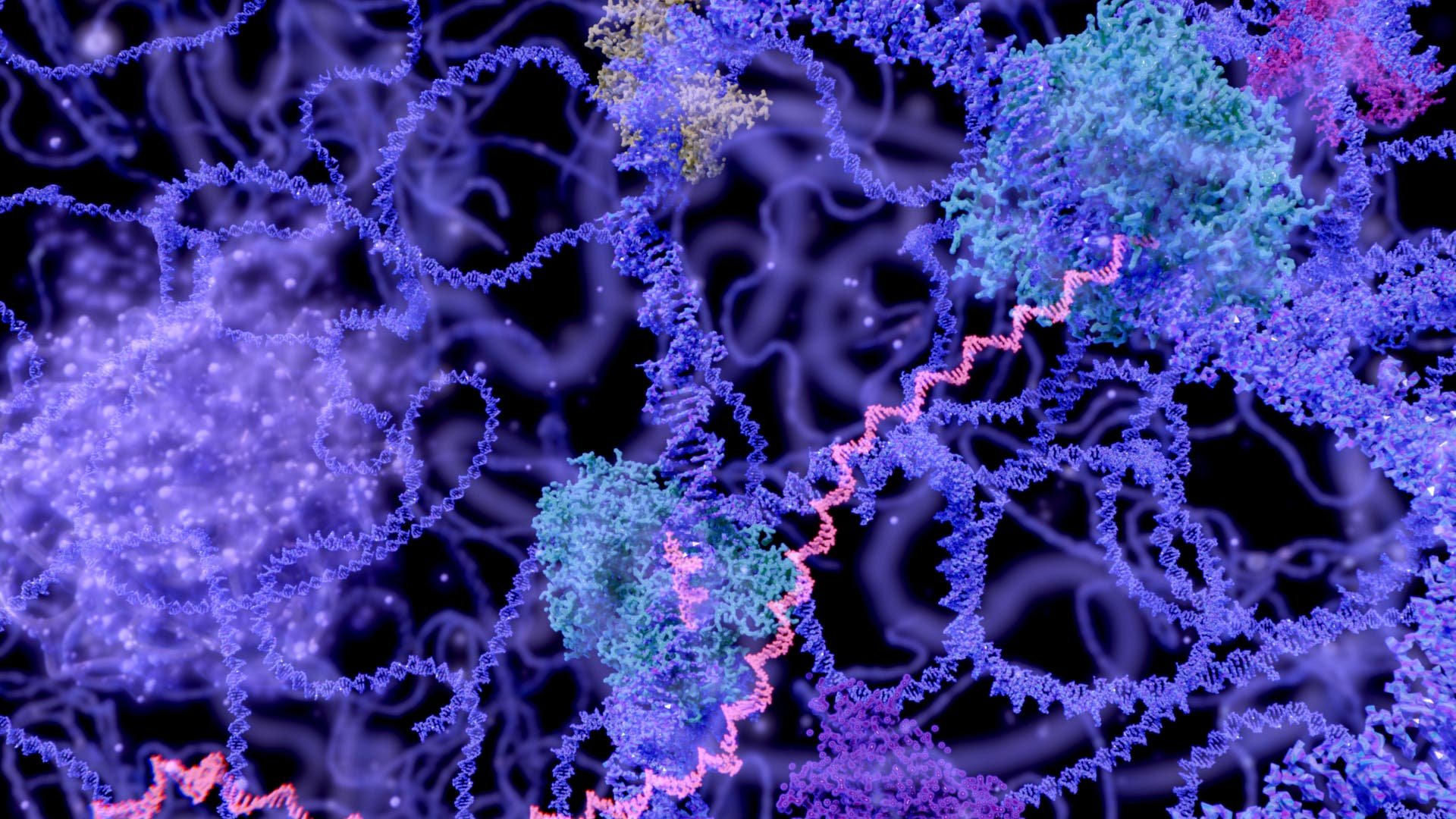 Gentechnik: Anti-CRISPR soll CRISPR besser machen