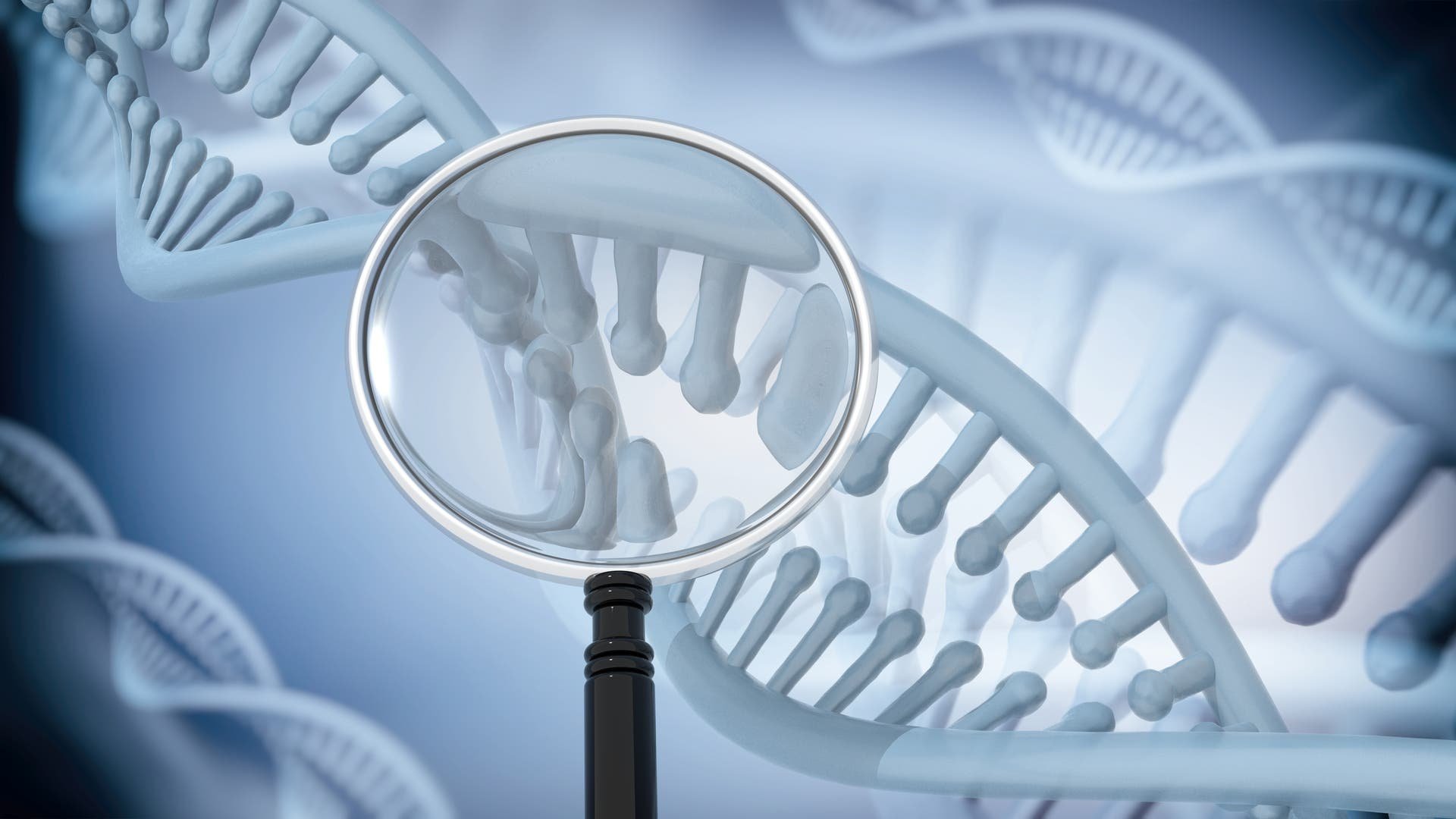 Gentechnik: Die neue CRISPR-Welt