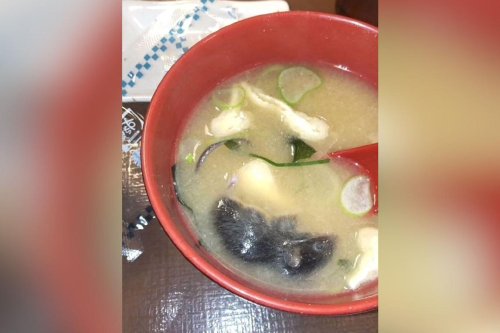 Rodent found in miso soup prompts plunge in eatery chain Sukiya owner’s stock