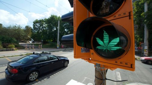 Kommission schlägt Grenzwert für Cannabis am Steuer vor 