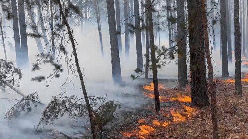 Waldbrände in Russland: Wer löscht die Flammen in Sibirien?