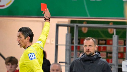 Schiedsrichter über Rote Karte für Mainz-Trainer: »Wir sind nicht die Mülleimer der Nation«