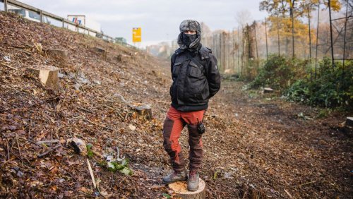 Klimaprotest gegen Verkehrsprojekt in Hannover: Die Baumbesetzer von Tümpel-Town