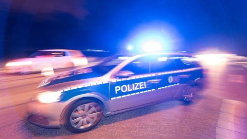 Führerschein beschlagnahmt: Betrunkene Frau ruft nach Wildunfall selbst die Polizei