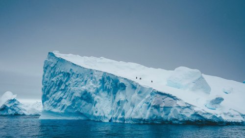 Chasm-1: Riesen-Eisberg löst sich in der Antarktis vom Festland