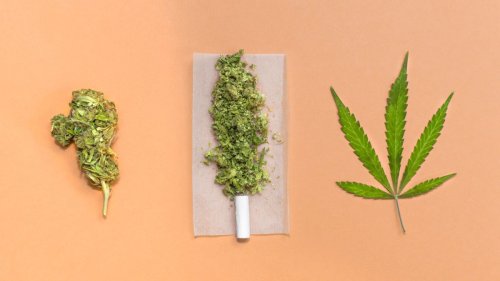 Bundesrat gibt grünes Licht: Wie Cannabis genau wirkt und was Konsumenten jetzt beachten sollten