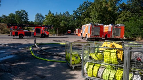 Brand im Grunewald: Feuerwehr will sich Sprengplatz nähern – Öffnung der Avus im Gespräch