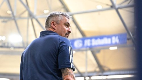 Klub nach Reis-Rauswurf: Warum Schalke einfach nicht zur Ruhe kommt