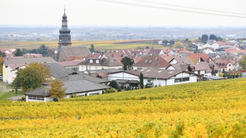 Merz will Trump die Pfalz zeigen 