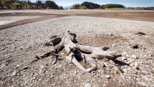 Häufiges Extremwetter: »Wir werden die Klimafolgen deutlich spüren«