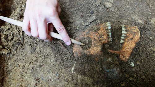 Archäologe machte Sensationsfund wohl 170.000 Jahre älter 