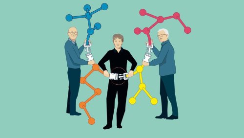 Nobelpreis für Chemie: Wenn es im Labor klick macht