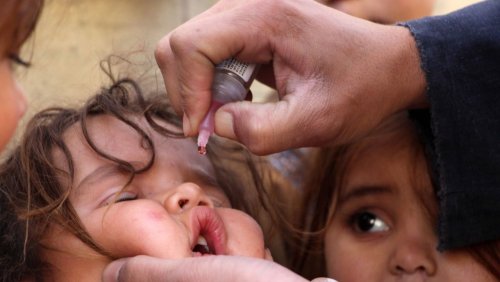 Infektionen durch mutierte Viren: Rückschlag für die weltweite Polio-Impfkampagne