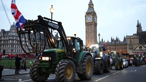 Britische Landwirte fürchten wegen Brexit-Politik um ihre Existenz 