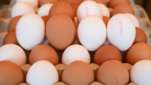USA bitten auch Deutschland um Eier 