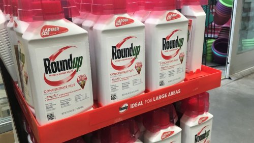 Unkrautvernichter Roundup: 3,5 Millionen US-Dollar Strafe – Bayer verliert nächsten Glyphosat-Prozess