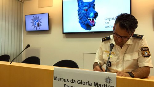 Elfjähriges Opfer: Vergewaltigung mit Wolfsmaske - Verdächtiger in Psychiatrie
