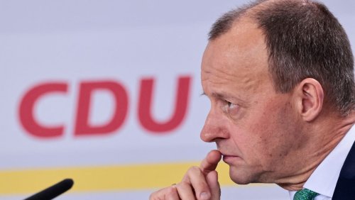 Friedrich Merz als neuer CDU-Chef: Der Hilferuf