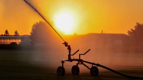   
  Meteorologen fürchten neuen Katastrophensommer 