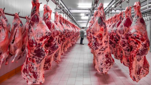 Klima- und Umweltbilanz der Viehzucht: Forscher plädieren für Fleischsteuer