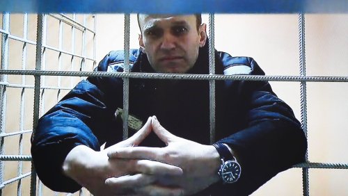 Inhaftierter Kremlkritiker Alexej Nawalny: »Russland muss eine parlamentarische Republik werden«