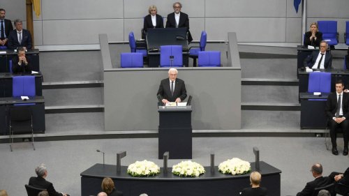 Das sind die drei Kernpunkte der Steinmeier-Rede 