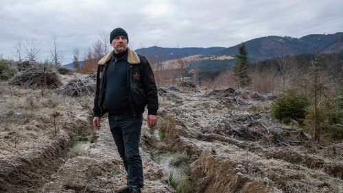 Gegen die rumänische »Holzmafia«: Der Mann, der Europas ältesten Wald retten will