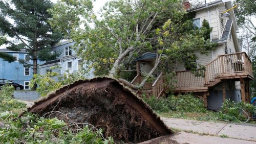 Straßen geflutet, Bäume geknickt, Häuser weggerissen: Wirbelsturm »Fiona« erreicht Kanada