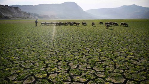 Menschengemachter Klimawandel erreichte 2024 neuen Höhepunkt 