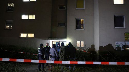 Waffen in Wohnung von Ex-RAF-Terroristin gefunden – Granate entschärft 