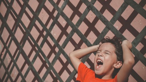 Wutausbrüche im Grundschulalter: Ist unser Sohn gefühlsstark oder therapiebedürftig?