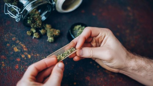 Bericht zur Gefahr von Cannabis-Konsum: »Verbote bringen nichts, das ist bestens belegt«