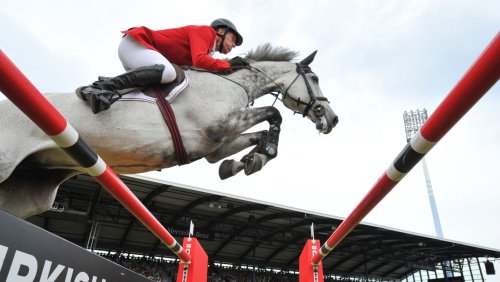 Tierquälerei-Vorwürfe gegen Olympiasieger Beerbaum: Auch die Reiterliche Vereinigung hat noch Fragen