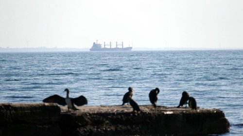 Kreml stellt Bedingungen für sichere Schwarzmeer-Schifffahrt 