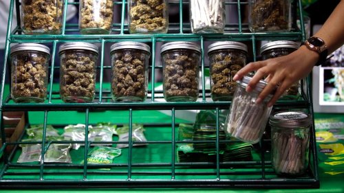 Thailand plant Rückkehr zum Cannabisverbot 