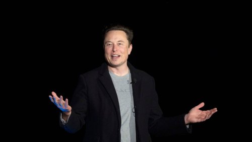 »Unglaublich peinlich«: Musk will Algorithmen für Twitter-Empfehlungen verraten