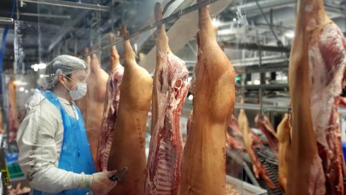Fleischverarbeiter: Nordrhein-Westfalen muss Entschädigung für Tönnies-Quarantäne bezahlen
