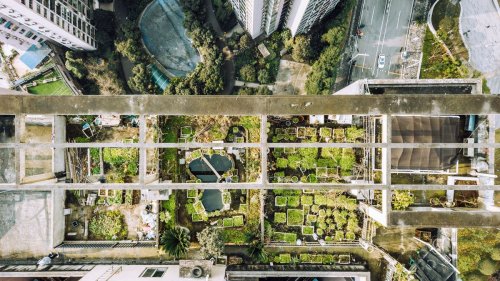 Urban Gardening: Obst und Gemüse aus städtischem Anbau produzieren besonders viel CO₂