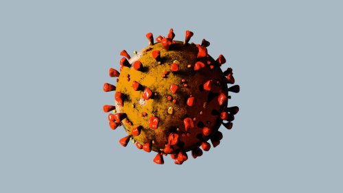 Coronavirus – die Woche: Ist da noch jemand?