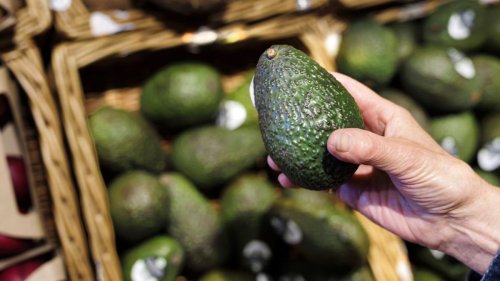 Avocado-Import mehr als verfünffacht 