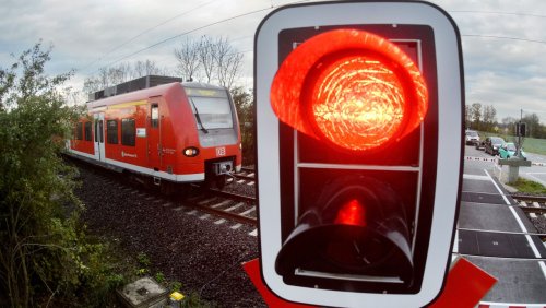 S-Bahn-Verkehr bei Hannover eingeschränkt: Eichhörnchen klettert in Oberleitung und kappt 15.000-Volt-Kabel