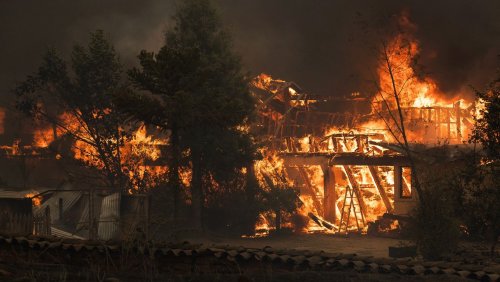 Tausende Feuerwehrleute im Einsatz: Tote und Verletzte bei heftigen Waldbränden in Chile