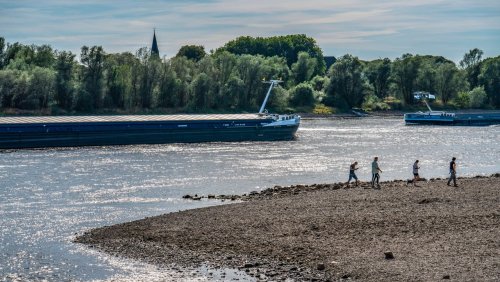 Binnenschifffahrt auf dem Rhein: Nur noch 40 Zentimeter Wasser unterm Kiel – trotz halber Ladung